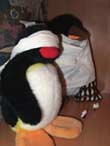 gefesselter Pingu